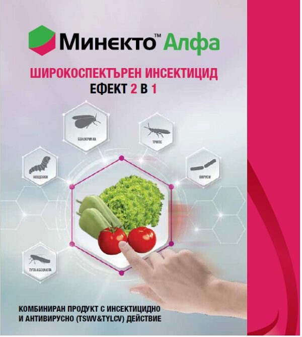 Минекто Алфа