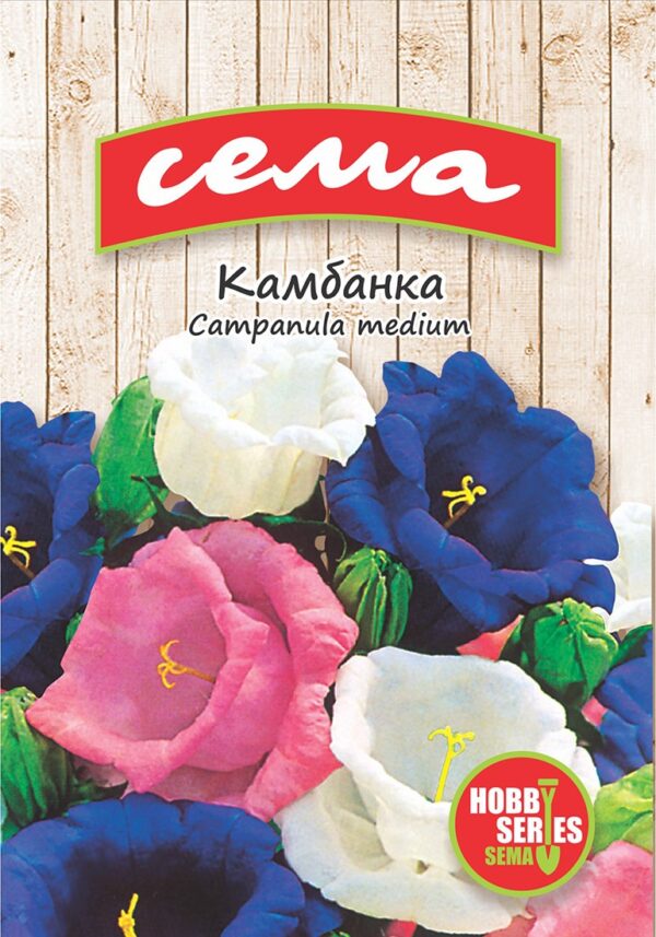 Камбанка