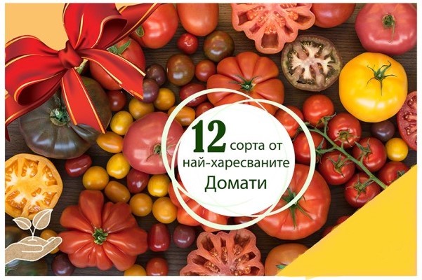 Колекция микс с 12 сорта семена за най-популярните Български домати.
