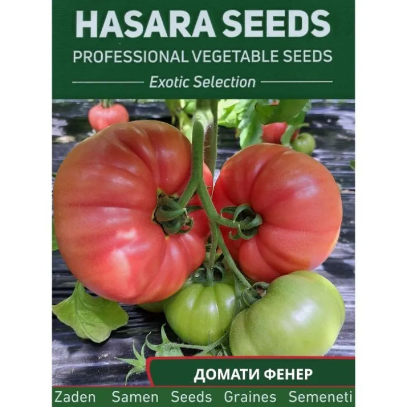 Домати ФЕНЕР F1 (FENER) - М - Image 2