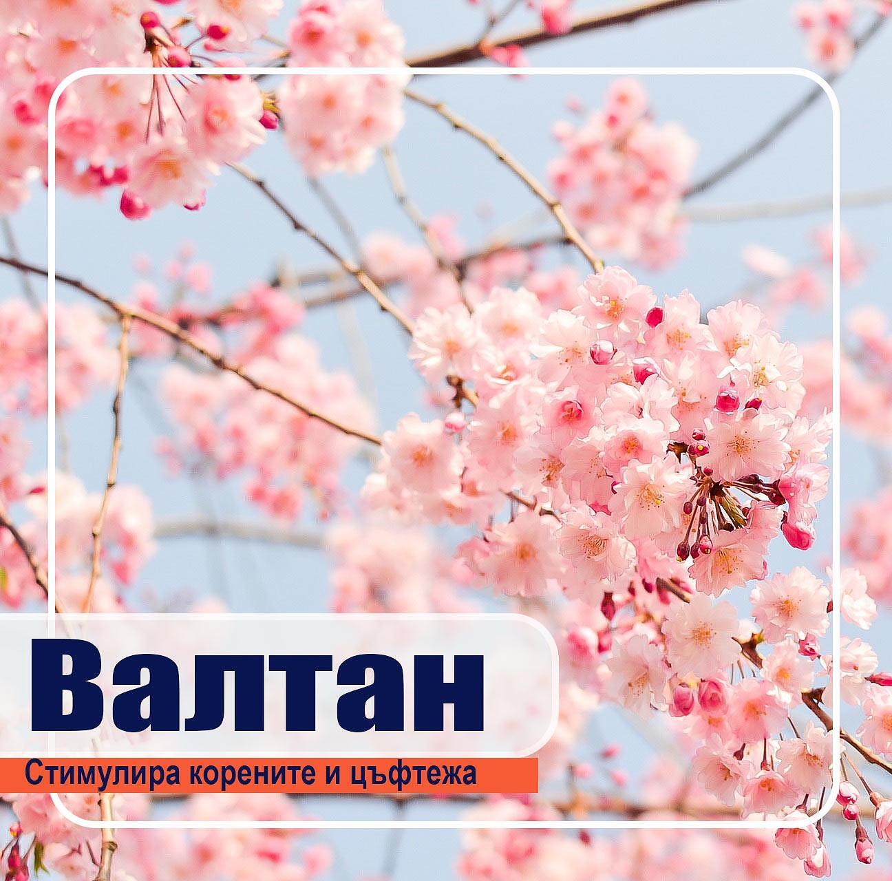 ВАЛТАН 100мл. - Image 2