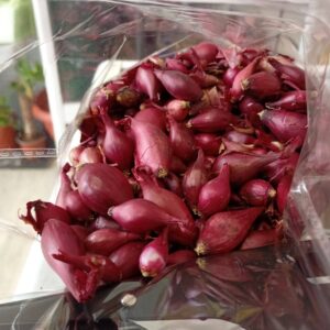 Арпаджик за червен лук Ред Кармен - 500 гр