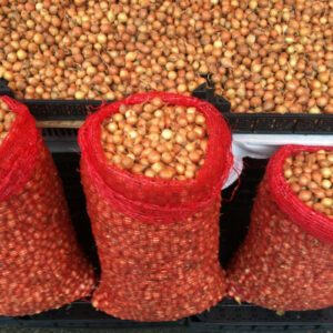 Арпаджик за лук Щутгартен ризен - 1 кг