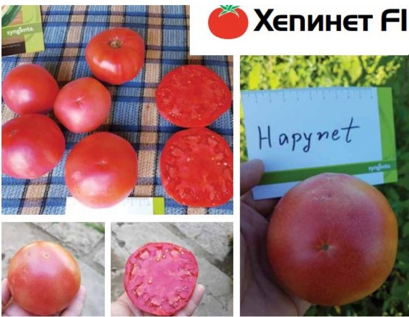 Домати Хепинет F1 - Image 2