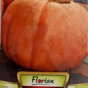 Тиква Биг Макс