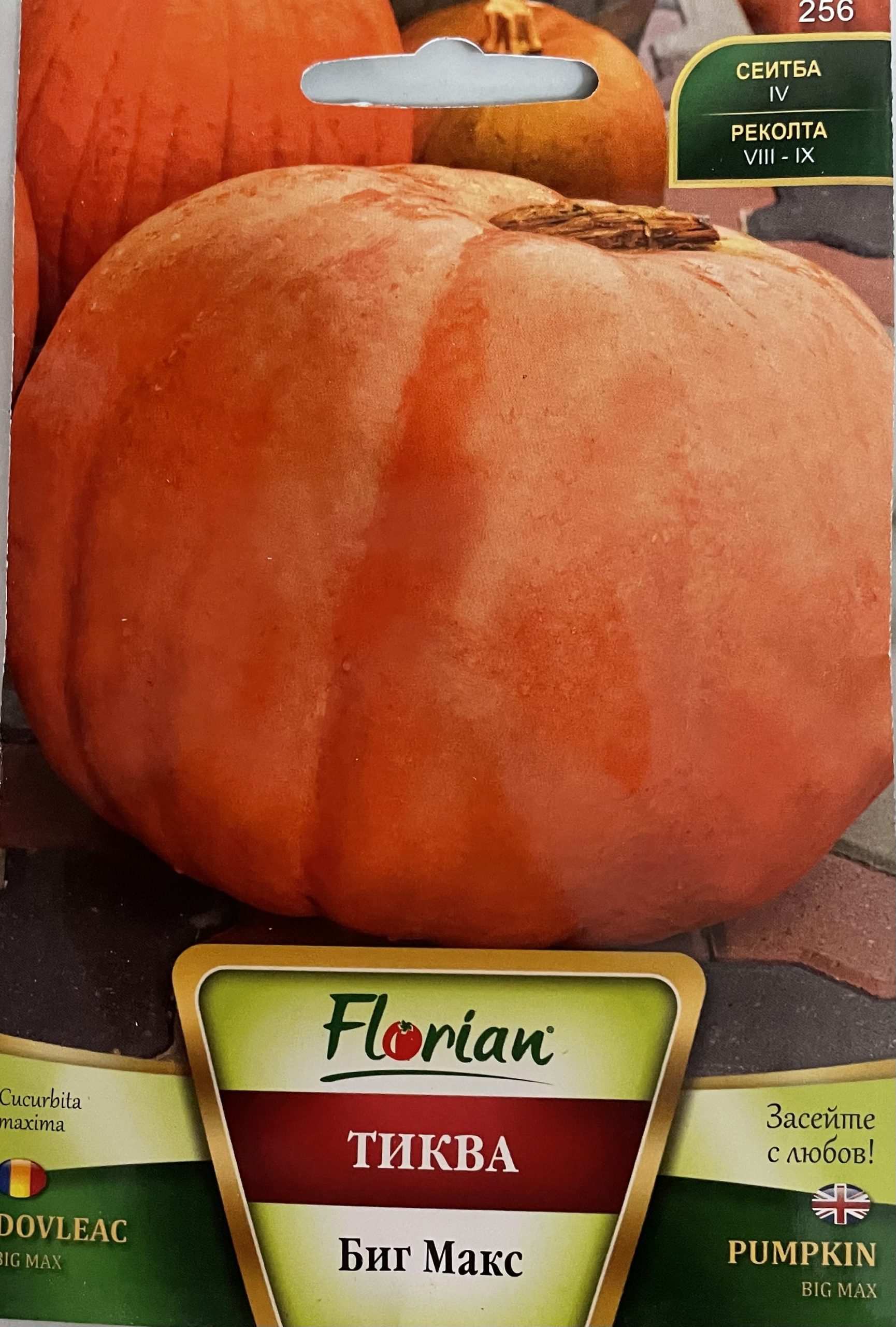 Тиква Биг Макс